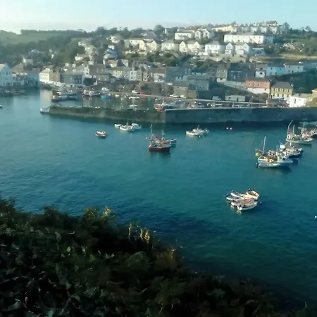 Blue Mackerel (adults Only) 3* Mevagissey